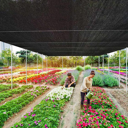 🔥Limited Time 50% Off✨Shade&Beyond 90% Sun Shade Cloth with Grommets