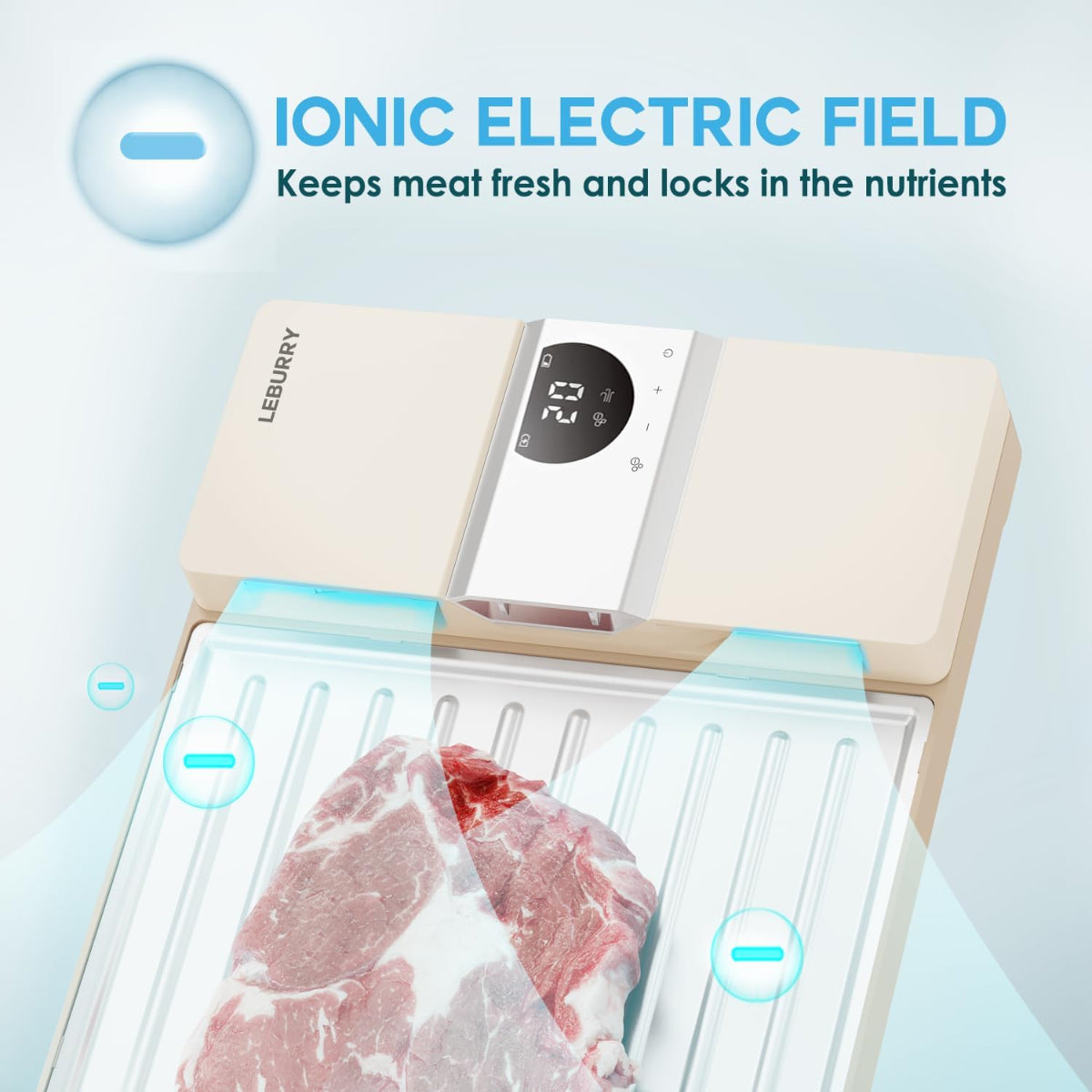 🥩Defrosting Tray - Thawing Tray for Frozen Meat