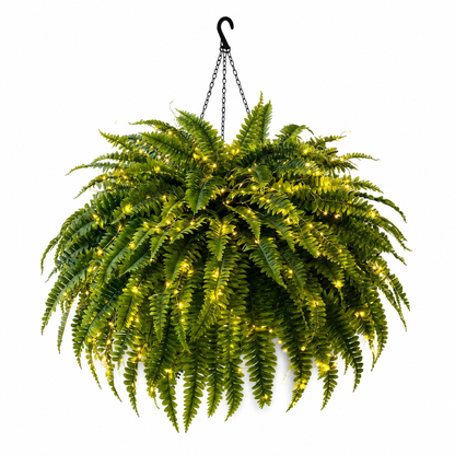 ⚡Glowing Boston Fern with Lights - No watering, No fading