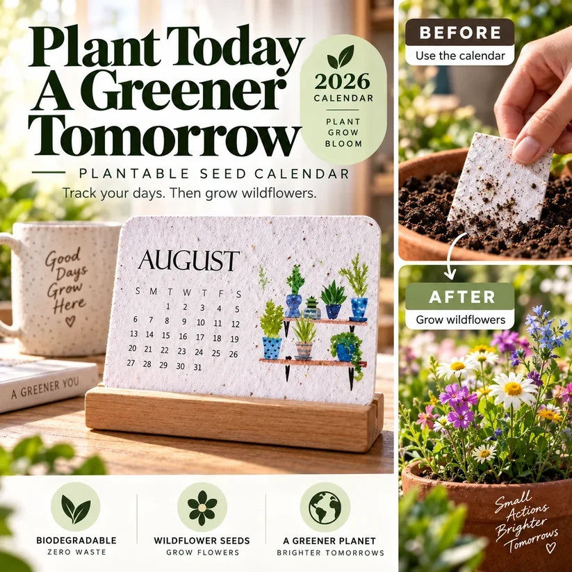 🪴early Holiday Sale 49% Off🌱eco-friendly Plantable “timeless” Seed Calendar 2027