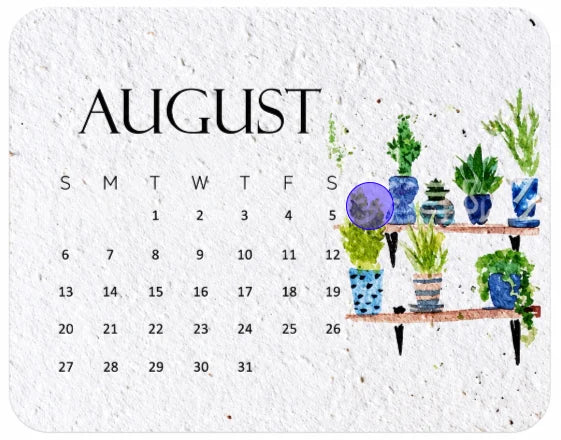 🪴early Holiday Sale 49% Off🌱eco-friendly Plantable “timeless” Seed Calendar 2027