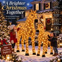 🔥Horse & Foal Set