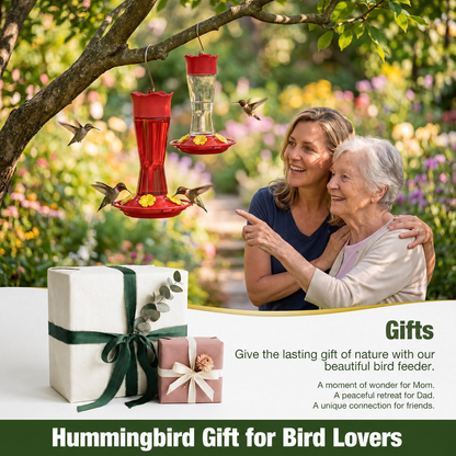 🐦2-Pack Bird Feeder-Easy-Maintenance Hummingbird Watching Experience