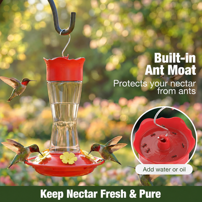 🐦2-Pack Bird Feeder-Easy-Maintenance Hummingbird Watching Experience