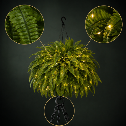 ⚡Glowing Boston Fern with Lights - No watering, No fading
