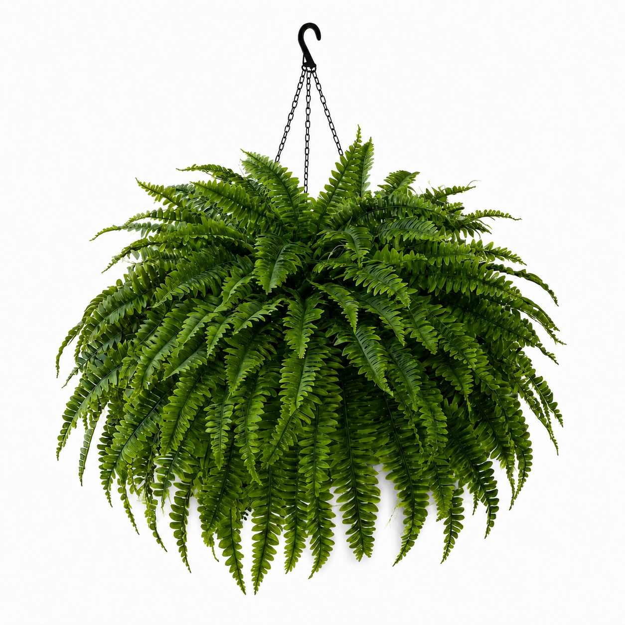 ⚡Glowing Boston Fern with Lights - No watering, No fading