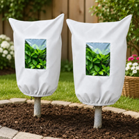 2 PCS
