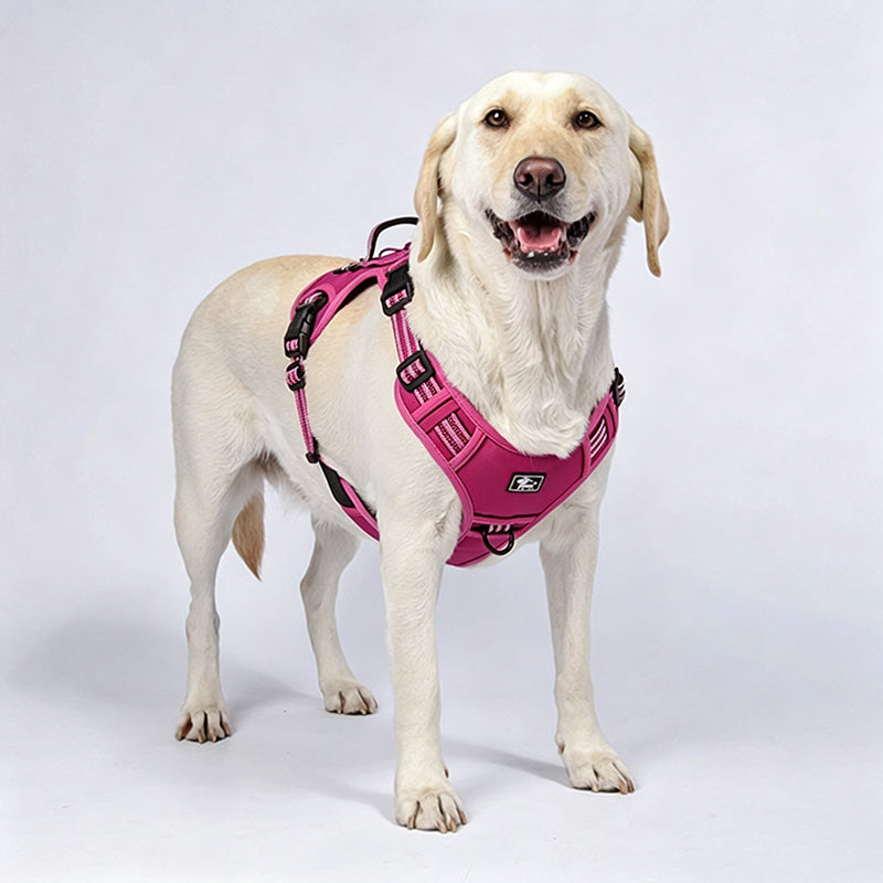 🎀Outdoor Heavy-Duty Adjustable No-Pull Dog Harness with Control Handle